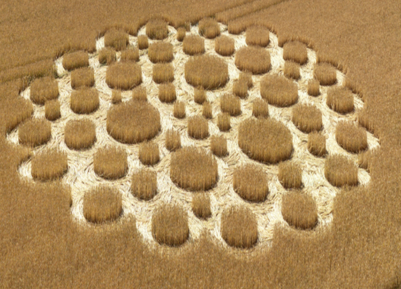 crop circle at Mere | july 5 2026