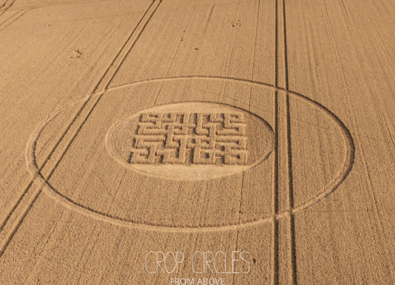 crop circle at Wayland Smithy | july 16 2026