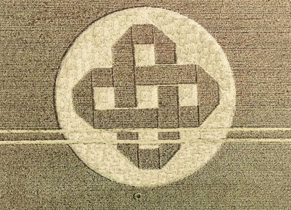crop circle at somewhere in Wiltshire | august 4 2026